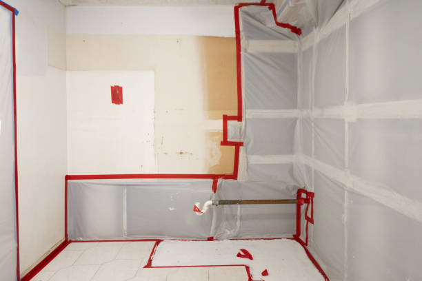  Bridgeport, OH Mold Removal Pros