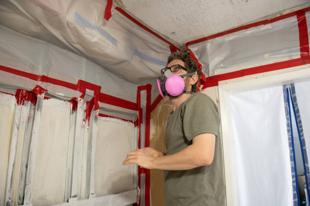 Best Mold Odor Removal Services  in Bridgeport, OH