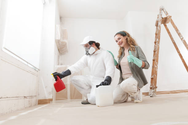 Best Mold Removal for HVAC Installations  in Bridgeport, OH